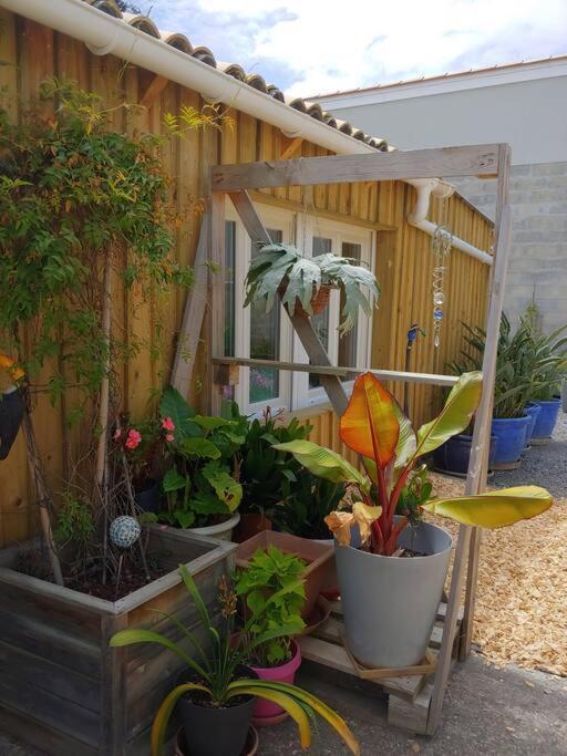 Studio Cocooning Le Porge Luaran gambar